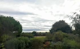 Holly House B&B